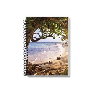 A Coleção New de cadernos universitários reúne modelos de 1 a 20 matérias com capa dura resistente, ideais para o dia a dia escolar ou universitário. As capas estampam belas paisagens naturais, como montanhas imponentes, praias paradisíacas e folhagens verdes exuberantes, transmitindo inspiração, tranquilidade e contato com a natureza enquanto você estuda