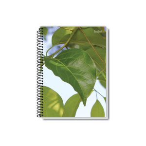 A Coleção New de cadernos universitários reúne modelos de 1 a 20 matérias com capa dura resistente, ideais para o dia a dia escolar ou universitário. As capas estampam belas paisagens naturais, como montanhas imponentes, praias paradisíacas e folhagens verdes exuberantes, transmitindo inspiração, tranquilidade e contato com a natureza enquanto você estuda